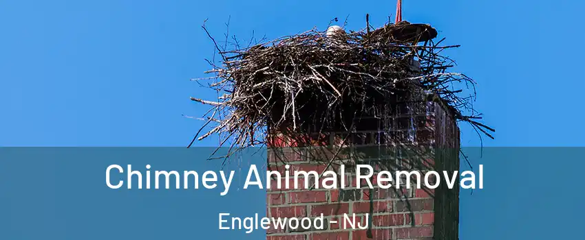  Chimney Animal Removal Englewood - NJ