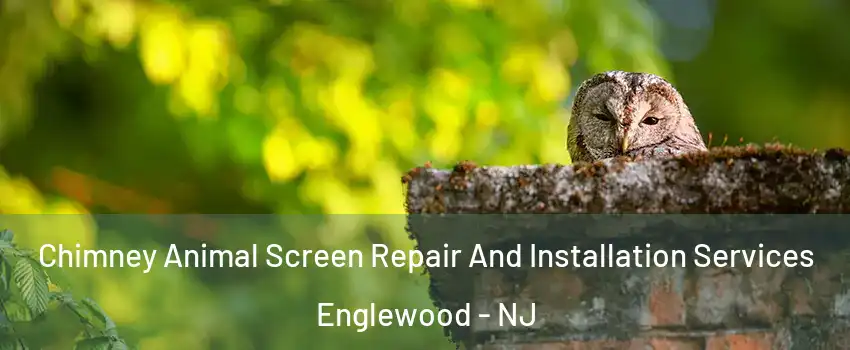  Chimney Animal Screen Repair And Installation Services Englewood - NJ