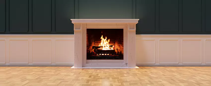 Napoleon Electric Fireplaces Inspection Service in Englewood, New Jersey