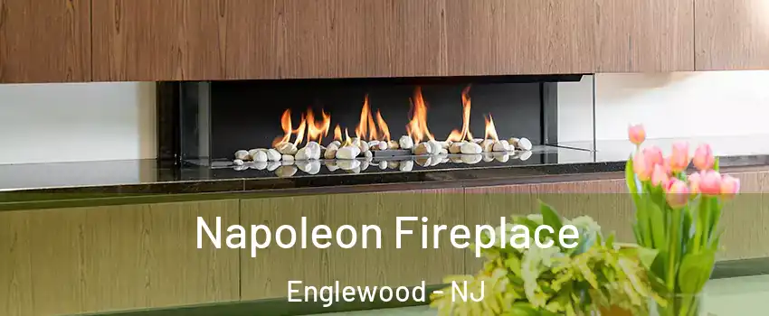  Napoleon Fireplace Englewood - NJ